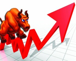 尼日利亞包裝行業(yè)進入快速發(fā)展期