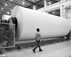 造紙業(yè)電子商務帶來的影響