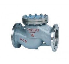 H41H-25C升降式止回閥