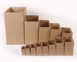 紙箱包裝機械成河北東光縣支柱產(chǎn)業(yè)