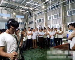 紀(jì)錄片《中國(guó)宣紙》播出