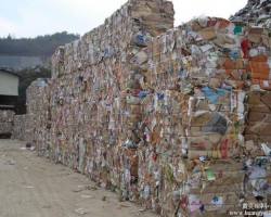 中國造紙?jiān)狭煽窟M(jìn)口！