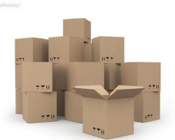 新型環(huán)?？爝f包裝箱開始運行