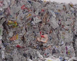 繼福建之后，海南廢紙價格也上漲！