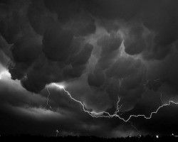 暴雨來襲，各紙企該如何應對？