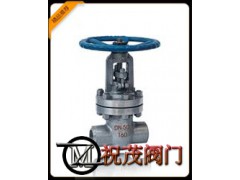 Z61Y-16P承插焊閘閥