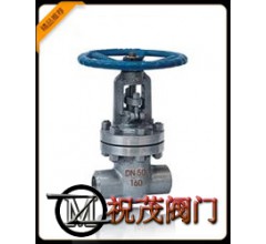 Z61Y-16P承插焊閘閥