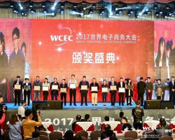 熱烈祝賀中國生活用紙網榮獲“2017中國電子商務行業(yè)百強”獎