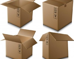 年產(chǎn)1.2億平方米高檔紙箱項目已通過！