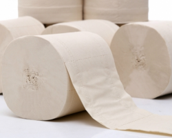 本色生活用紙or白色生活用紙，你會選哪個？