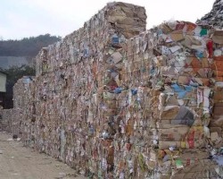 廢紙淡季價(jià)格頻頻上漲，引得央視注意