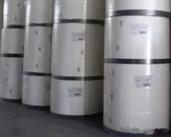 什么是絨毛漿？