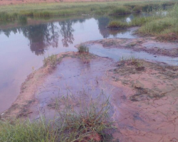 膽大包天！無證造紙廠建到了農(nóng)田中