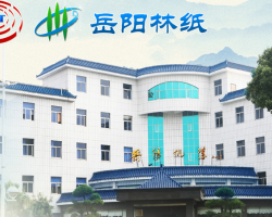 喜報！岳陽林紙半年報預增248%-273%