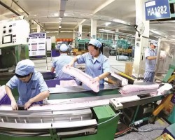 打造千億級(jí)生活用紙航母 3年后這個(gè)“中華紙都”紙品產(chǎn)能將突破350萬(wàn)噸