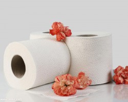 六種衛(wèi)生紙紙張火焰通過(guò)焦油判斷質(zhì)量的物理特征