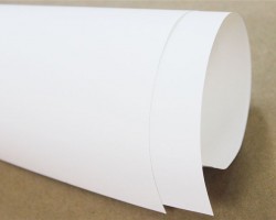 太陽宏河紙業(yè)30萬噸本色生物質纖維生產線預計9月中旬投產