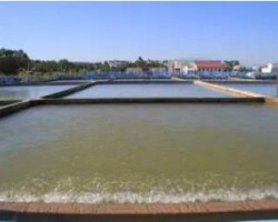 金桂漿紙榮獲“2019年度自治區(qū)節(jié)水型企業(yè)”稱號