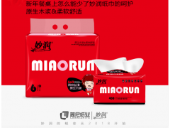 江蘇衛(wèi)生紙|衛(wèi)生紙批發(fā)|抽紙價(jià)格|可濕水紙巾|安徽紙巾價(jià)格