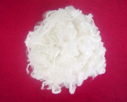 四川省竹子制漿造紙企業(yè)岷沱江流域水污染物排放標(biāo)準(zhǔn)專家咨詢會和企業(yè)座談會成功召開