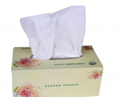 清風(fēng)連續(xù)2年榮獲中國品牌榜紙巾/卷紙類品牌