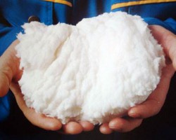 上半年闊葉漿價格震蕩下行 下半年拐點何時出現(xiàn)？