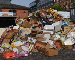 2021年起中國全面禁止固體廢物進口