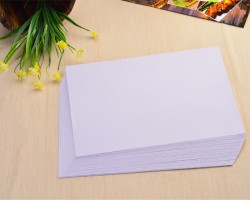 玖龍紙業(yè)張茵：荊州項(xiàng)目總投資135億 力爭(zhēng)9月份動(dòng)工