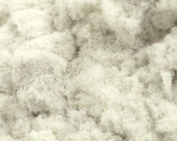 造紙業(yè)加工貿(mào)易政策調(diào)整：木漿生產(chǎn)迎來特大利好