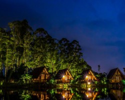 南京明年1月1日起升級可降解塑料袋