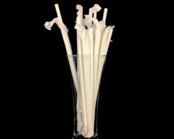 8批次食品接觸用紙制品不合格 涉及展藝、尚島宜家等品牌