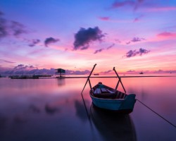 日照港裕廊碼頭團(tuán)隊(duì)到訪亞太森博