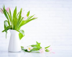 母嬰行業(yè)迎“卡位”戰(zhàn)，紙尿褲商家都在關(guān)注哪些增長信號？