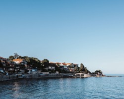 走進(jìn)APP漿廠 看樹(shù)如何成漿