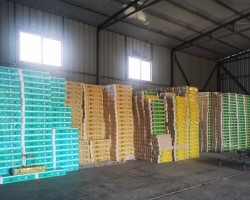 衛(wèi)生紙品牌忠誠(chéng)度培養(yǎng)：從用戶體驗(yàn)到情感連接的深度構(gòu)建